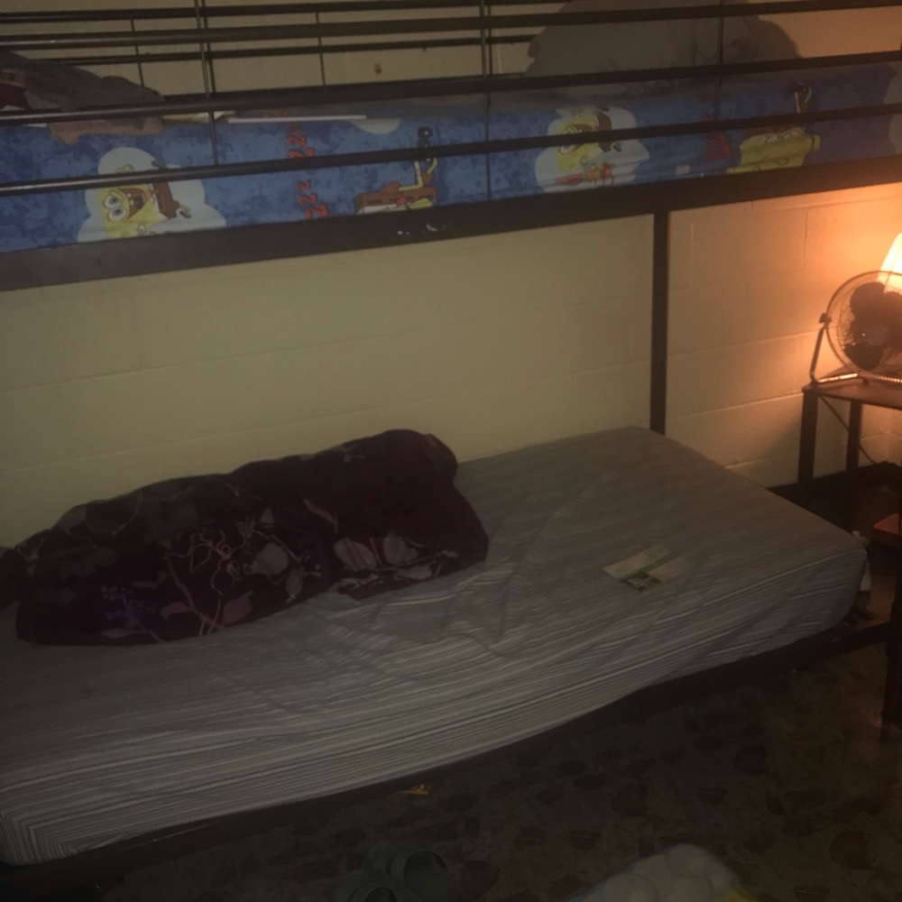 Bunk bed